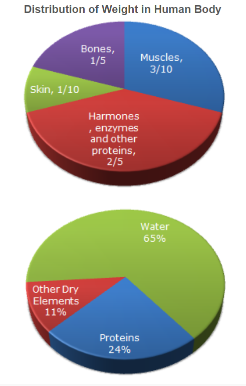 The Following Pie Chart Give The Information About The Distr...