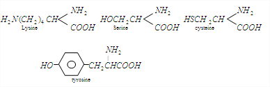 An Example Of A sulphur Containing Amino Acid Is